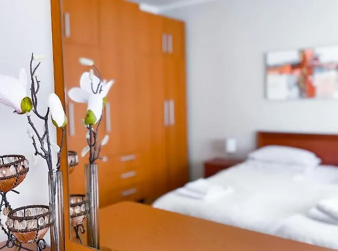 Broj Jedan Delux * Soko Banja