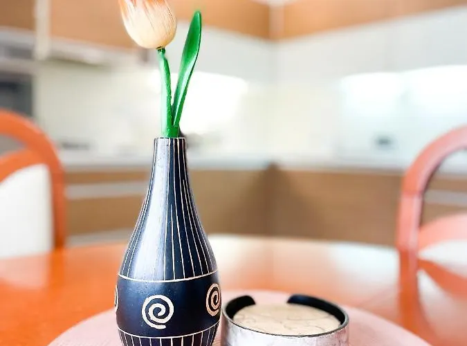 Villa Broj Jedan Delux Soko Banja